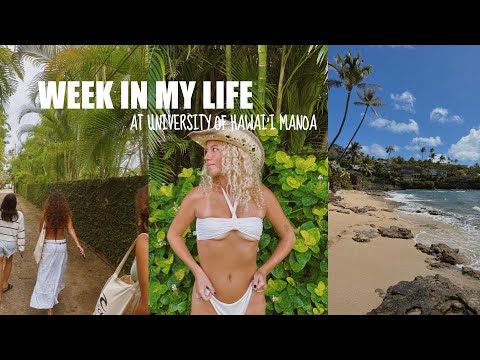 IM BACKKK - week in my life at university of hawai'i