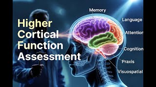 Comprehensive Guide to Higher Cortical Function Assessment
