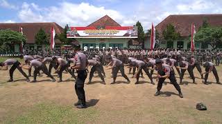 Download Lagu Ngeri..!!! Yel-Yel Imekko Yembo Yembo Soyao Mambo Mambo Yayae MP3