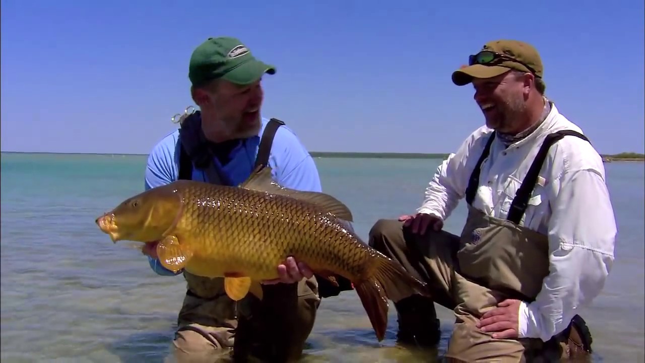 Amazing Fly Fishing Carp Action!
