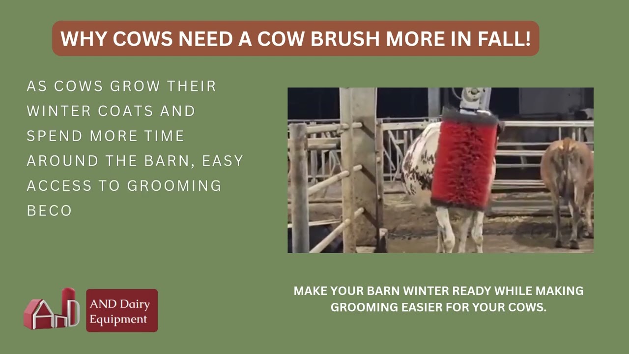 Why Cow Brushes Become Even More Important in the Fall