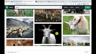 Find Free or Creative Commons Licensed Images for your Blog Posts Wealth