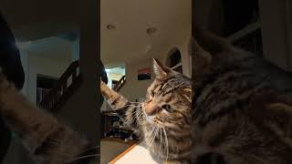 His Internal Struggle Is Real