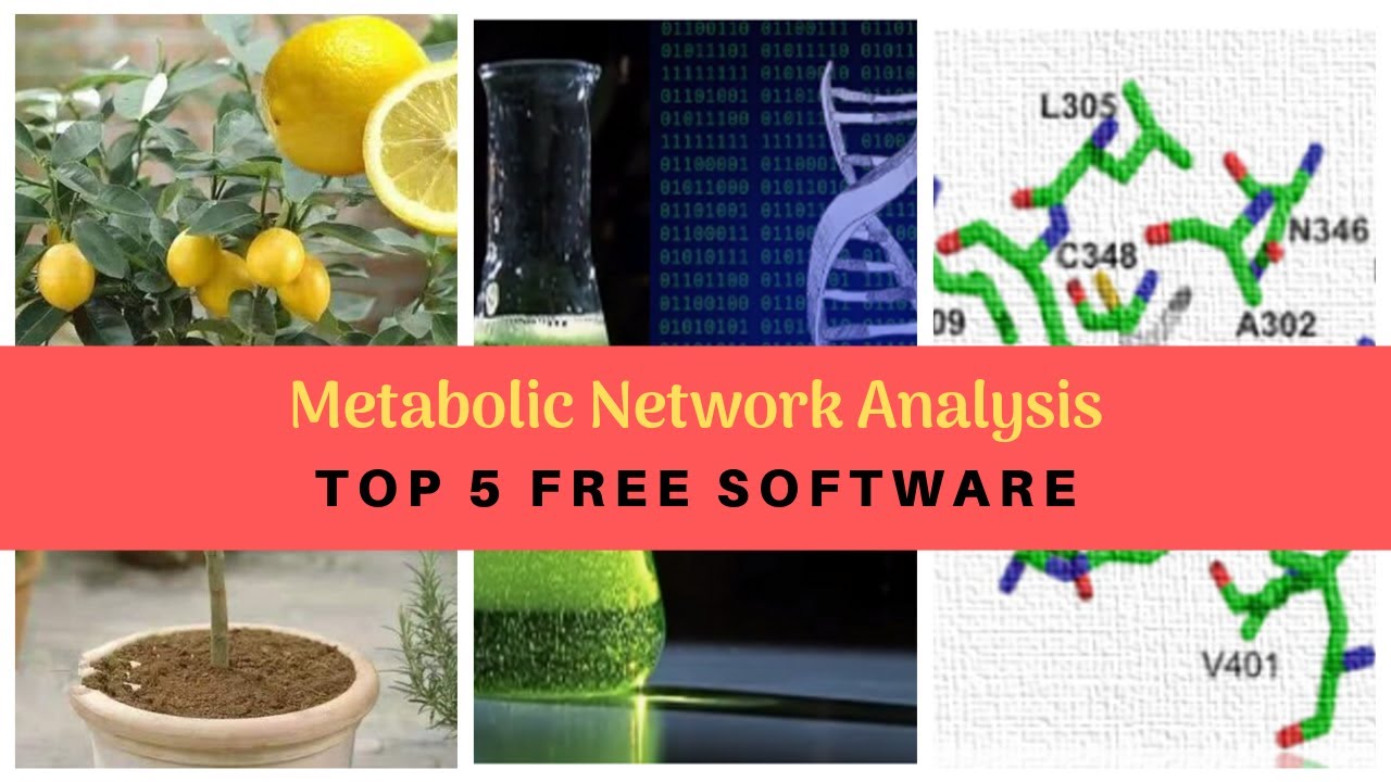 Top 5 Free Software for Metabolic Network | Synthetic Biology | Metabolic Engineering.