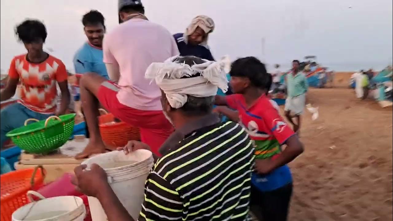 Mariyanad Fishing Village Early Morning Today Trivandrum Kerala YouTube mariyanad-fishing-village-early-morning-today-trivandrum-kerala-youtube