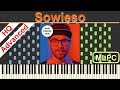 Mark Forster - Sowieso I Piano Tutorial & Sheets by MLPC
