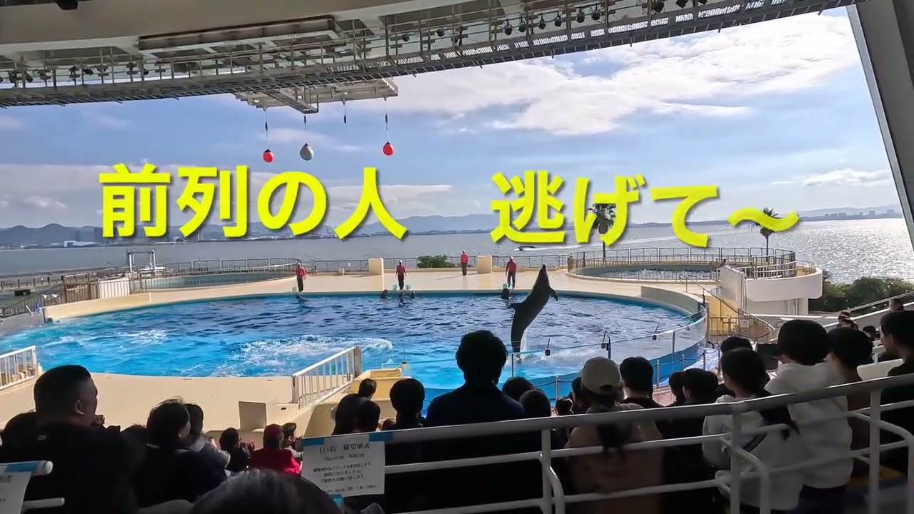 2025､11､23マリンワールド