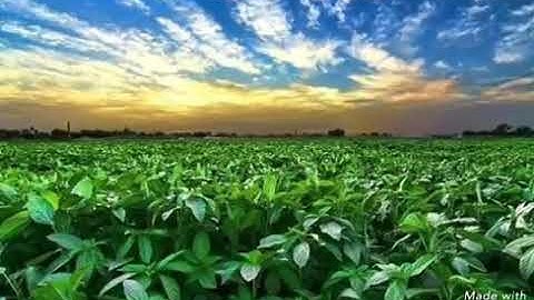 تلاوة هادئة ومريحة لسورة الفاتحة .. أسالكم الدعاء لي 🙏