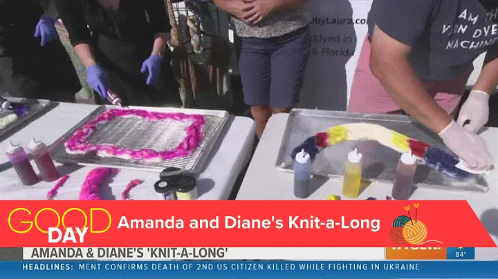 Amanda & Diane's Knit-a-Long: The art of yarn dyei...