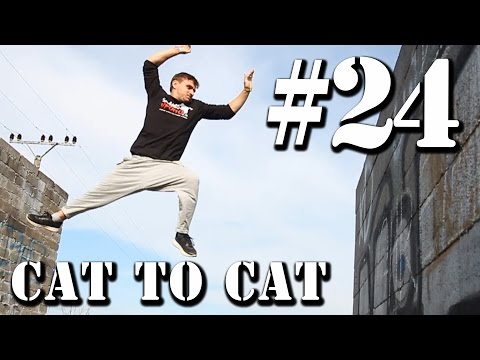 Cat to Cat Tutorial [CZECH] | Taras ‚Tary‘ Povoroznyk