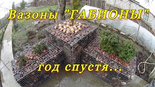 Вазон "ГАБИОН" -  год спустя...