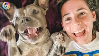 Elsie The Little Dog Who Found Love And Healing After A Hard Life