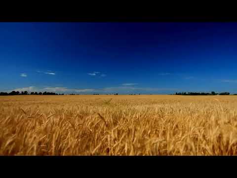 Українська пісня Сонце низенько вечір близенько