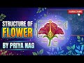 Structure of flower | #biology #cbse12th #class9 #followformore