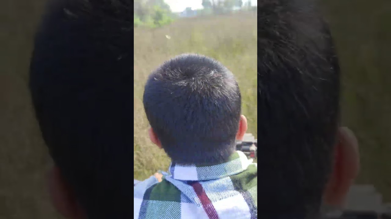 আজ আমি প্রথমবার আমার বরের সাথে আমাদের পাঞ্জাবের  গ্রামের জমিতে ঘুরতে যাচ্ছি 🌴🌳🌲🌿 #villagevlog 🌱🎋🎋