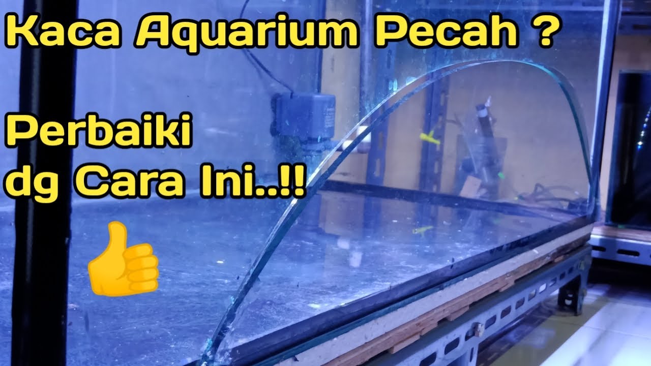 Cara Memperbaiki Kaca Aquarium Yang Pecah Tanpa Ganti Kaca Baru