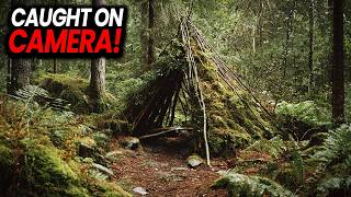 9 Bigfoot Encounters That Turned Camping Trips Into Nightmares - Compilation!