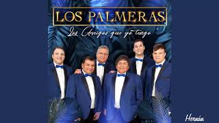Los Palmeras - Los Amigos Que Yo Tengo