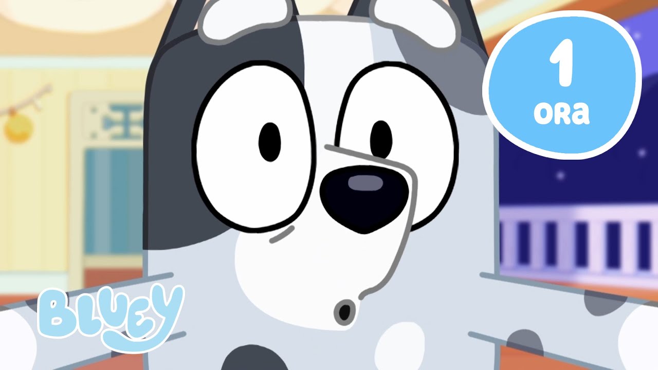 🔴LIVE: Il meglio della famiglia Heeler 🤩🥰 | Con Muffin e altro! 🩶 |  Bluey Italiano Canale Ufficiale