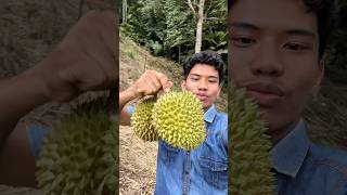 Part 1 keseruan mencari buah durian dapat banyak#shorts #mencari #buahdurian #petualang
