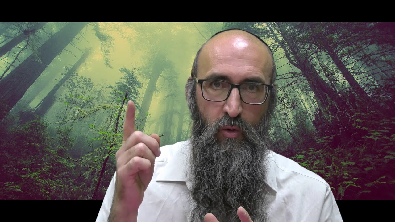ON VA CHANGER LE MONDE 8 - Le secret des 6 Tsadikim - Mashiah' est la ! - Rav Itshak Peretz