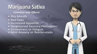 Marijuana Sativa Understanding Its Uses And Side Effects