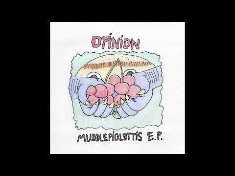 Opinion - Super Epic Garage Pop Song For All Of The Punk Fishes In The World