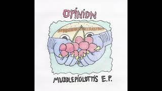 Opinion - Super Epic Garage Pop Song For All Of The Punk Fishes In The World
