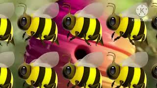 CTC Bees Logo Remake @NitaAndLeon2026