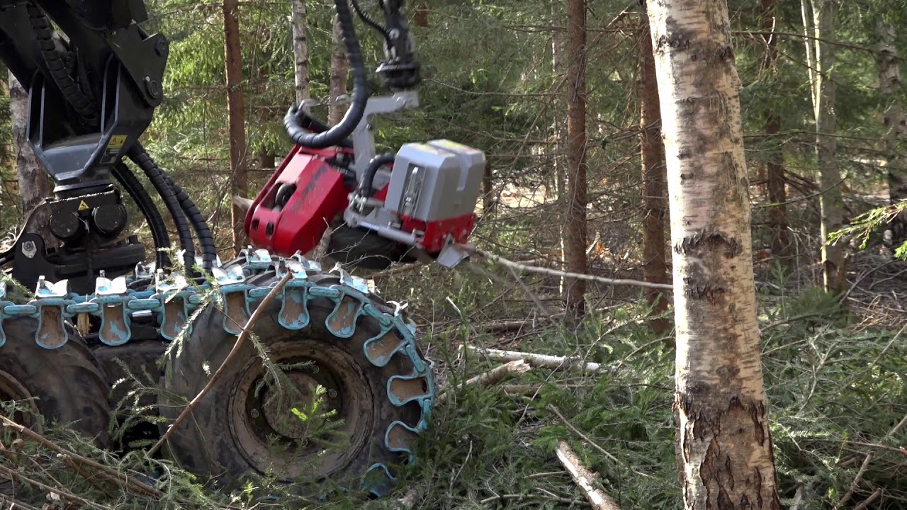 ''Forestex'' ''Lauer'' harvendusraie