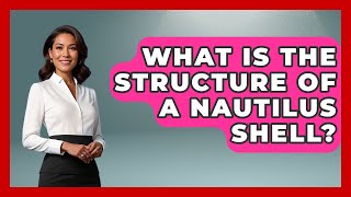 What Is The Structure Of A Nautilus Shell? - The Marine Life Explorer