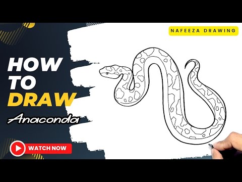 How to draw Anaconda