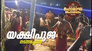 മഹാമാഘമേളയില്‍ ബാലകൃഷ്ണപൈ നടത്തിയ യക്ഷീപൂജ | Balakrishna Pai | Yekshi