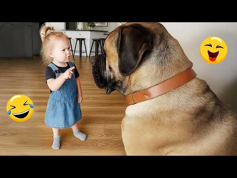 Try Not To Laugh 🤣 Most Watched Funny Dog Videos Compilation 🐶 #3