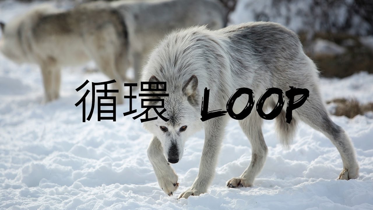 Best Non Copyrighted Music 2017