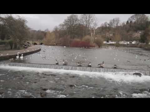 Derbyshire