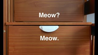 Cat-Proofing a Drawer