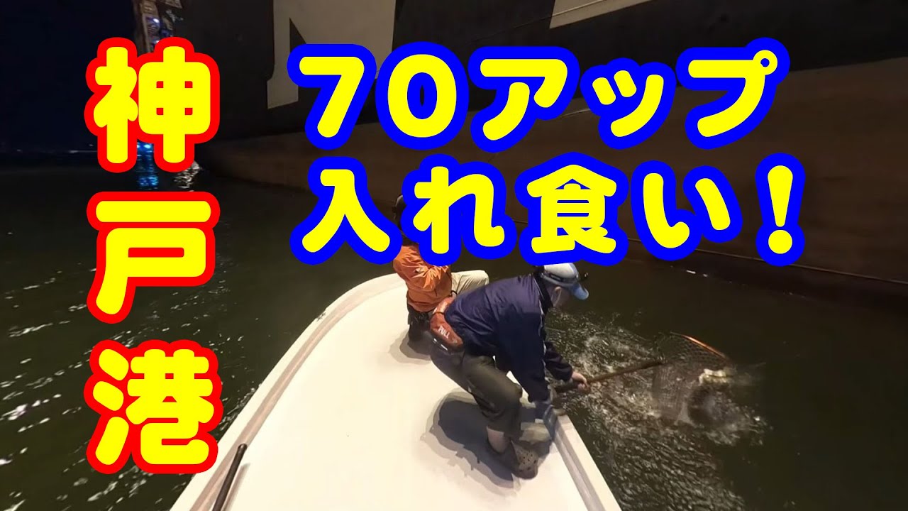 Gopro Max 釣り動画 釣れ過ぎてお蔵入りとなった70upシーバス入れ食い動画公開 神戸港ボートシーバス ナイトゲーム 令和2年5月某日 Youtube