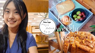 銀髮族的懶人健康餐盤👵🧓煙燻蝦味吐司🦐🍞自製煙燻鮪魚這麼簡單?