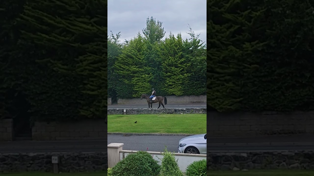 I saw an Irish horse rider