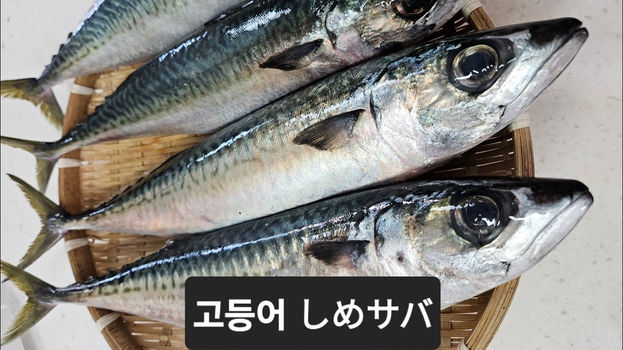시메사바 만들기 しめサバを作りました。