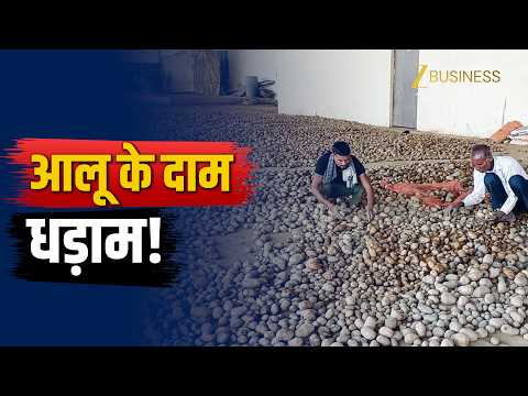 संभल: आलू के दाम गिरे, कोल्ड स्टोरेज में पुराना स्टॉक भरा; नई फसल से पहले किसानों को भारी नुकसान