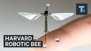 Harvard University​ is creating robotic insects to monitor the environment