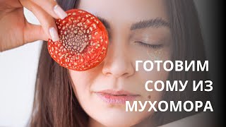 Готовим напиток Сома | Красный  мухомор. Микродозинг.