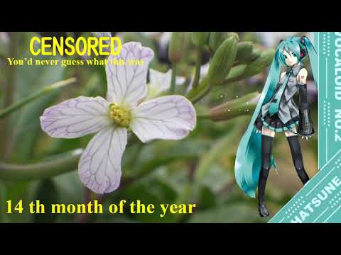 【Hatsune Miku】14番目の月（荒井由実）1975；14 th moon  （Yumi Arai）1976【Vocaloid 5】初音ミク