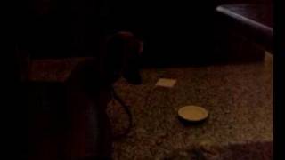 20091217KTV呷麥停 (2).mp4