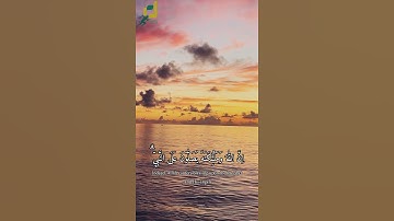 حالات واتس اب / إن الله وملائكته يصلون على النبي /  للقارئ إسلام صبحي