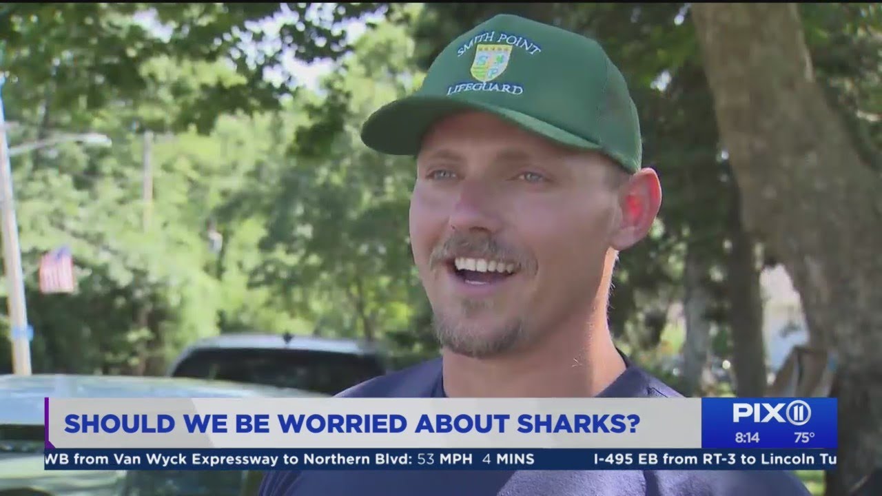 Shark attacks are rare