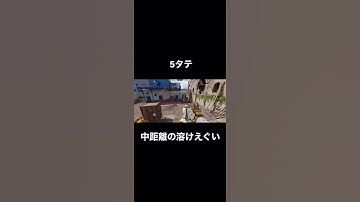 【CoDモバイル】ピースキーパー5タテ