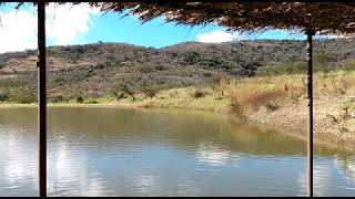 ALIMENTANDO PECES LAGO SALTO NEGRO ECOHOTEL